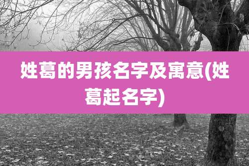 姓葛的男孩名字及寓意(姓葛起名字)