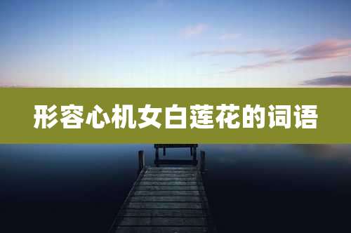 形容心机女白莲花的词语