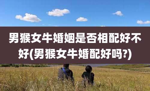 男猴女牛婚姻是否相配好不好(男猴女牛婚配好吗?)