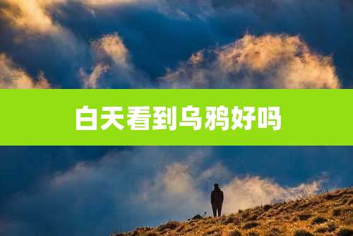 白天看到乌鸦好吗