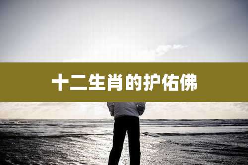 十二生肖的护佑佛