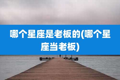 哪个星座是老板的(哪个星座当老板)