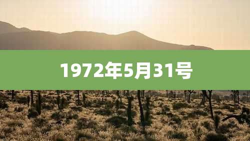 1972年5月31号