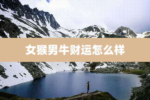 女猴男牛财运怎么样