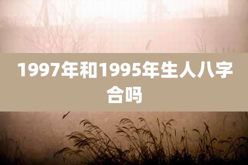 1997年和1995年生人八字合吗