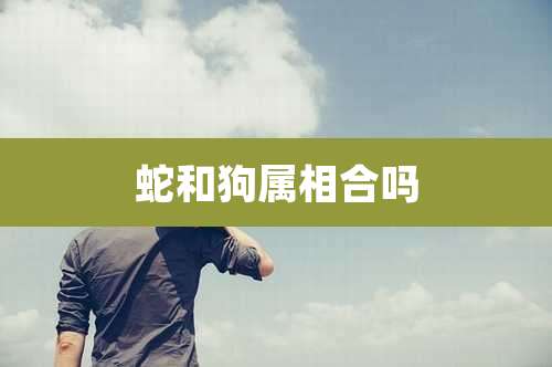 蛇和狗属相合吗