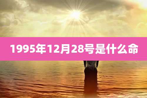 1995年12月28号是什么命