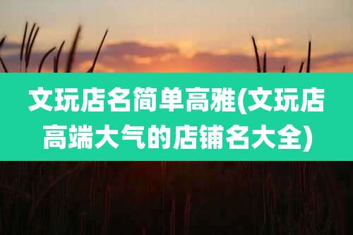 文玩店名简单高雅(文玩店高端大气的店铺名大全)