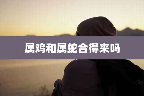 属鸡和属蛇合得来吗