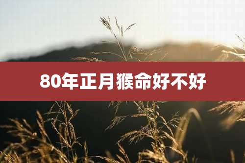 80年正月猴命好不好