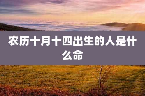 农历十月十四出生的人是什么命