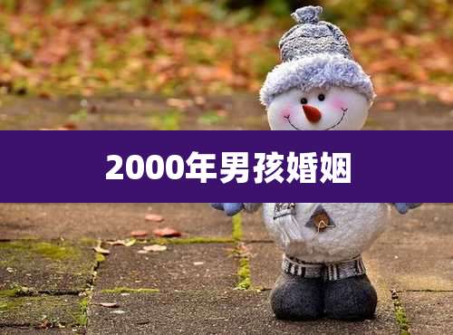 2000年男孩婚姻