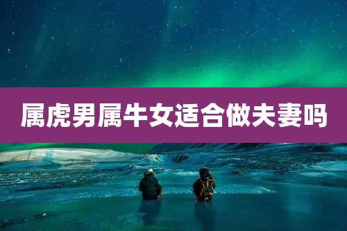 属虎男属牛女适合做夫妻吗