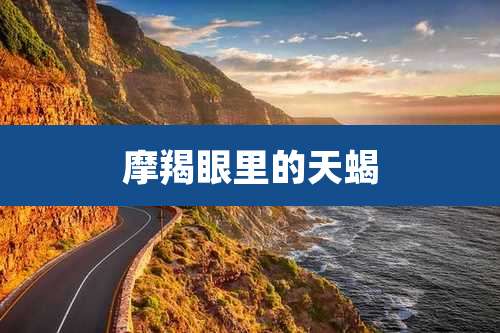 摩羯眼里的天蝎