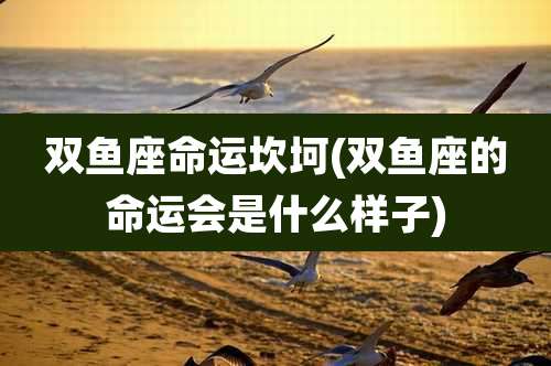 双鱼座命运坎坷(双鱼座的命运会是什么样子)