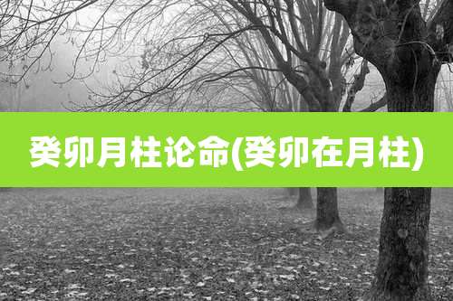 癸卯月柱论命(癸卯在月柱)