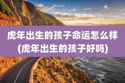 虎年出生的孩子命运怎么样(虎年出生的孩子好吗)
