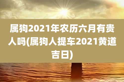 属狗2021年农历六月有贵人吗(属狗人提车2021黄道吉日)