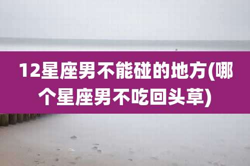 12星座男不能碰的地方(哪个星座男不吃回头草)