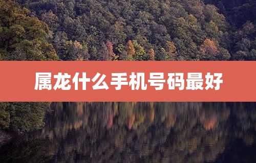 属龙什么手机号码最好