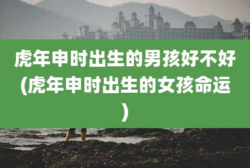 虎年申时出生的男孩好不好(虎年申时出生的女孩命运)