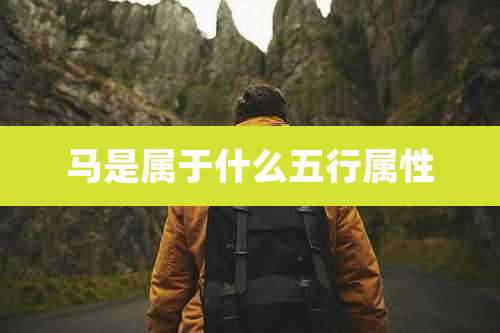 马是属于什么五行属性