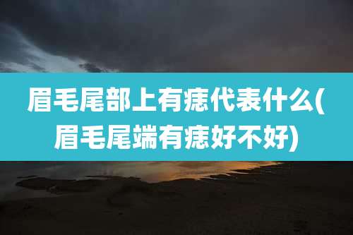 眉毛尾部上有痣代表什么(眉毛尾端有痣好不好)