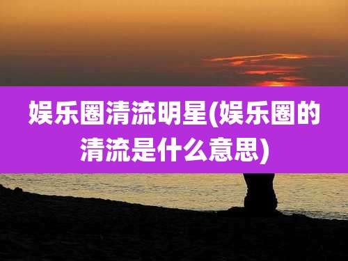 娱乐圈清流明星(娱乐圈的清流是什么意思)