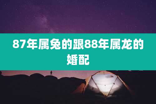 87年属兔的跟88年属龙的婚配