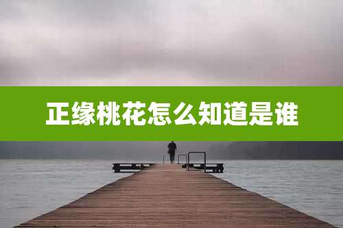 正缘桃花怎么知道是谁
