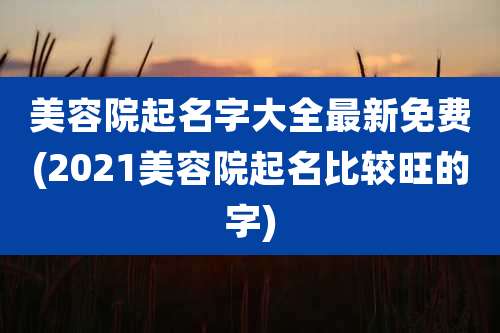 美容院起名字大全最新免费(2021美容院起名比较旺的字)