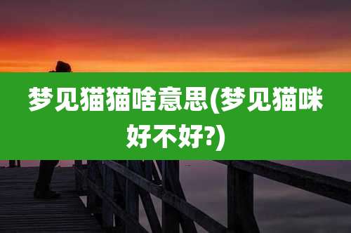 梦见猫猫啥意思(梦见猫咪好不好?)
