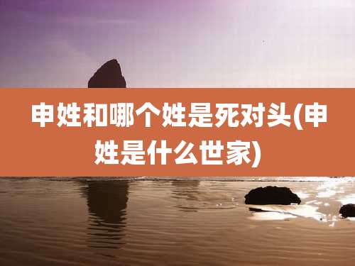 申姓和哪个姓是死对头(申姓是什么世家)