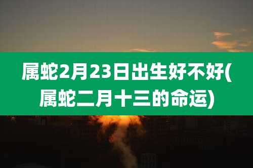 属蛇2月23日出生好不好(属蛇二月十三的命运)