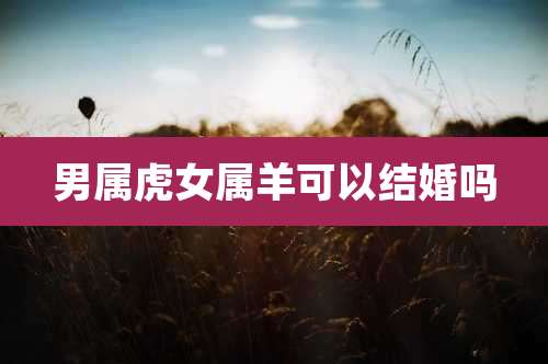 男属虎女属羊可以结婚吗
