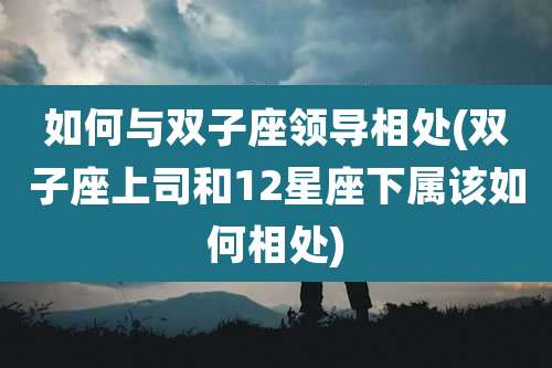 如何与双子座领导相处(双子座上司和12星座下属该如何相处)