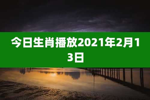 今日生肖播放2021年2月13日