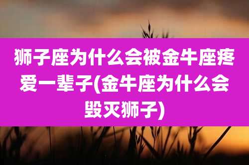 狮子座为什么会被金牛座疼爱一辈子(金牛座为什么会毁灭狮子)