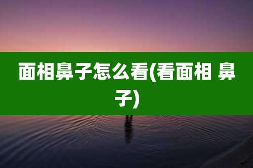 面相鼻子怎么看(看面相 鼻子)