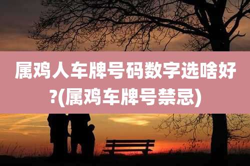 属鸡人车牌号码数字选啥好?(属鸡车牌号禁忌)