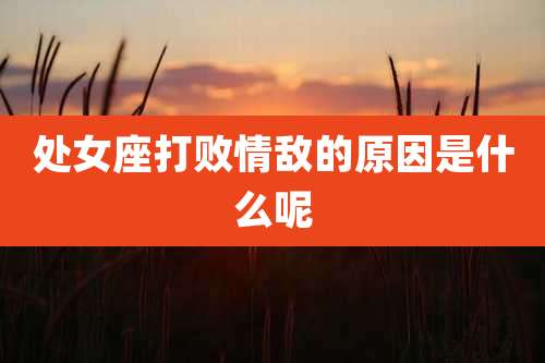 处女座打败情敌的原因是什么呢