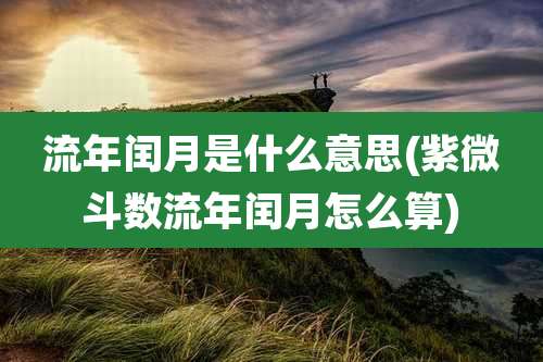 流年闰月是什么意思(紫微斗数流年闰月怎么算)