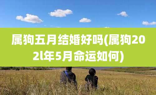 属狗五月结婚好吗(属狗202l年5月命运如何)