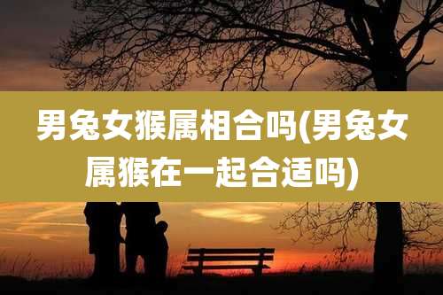 男兔女猴属相合吗(男兔女属猴在一起合适吗)