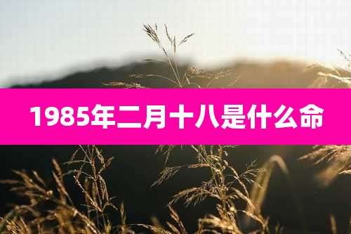 1985年二月十八是什么命