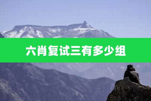 六肖复试三有多少组