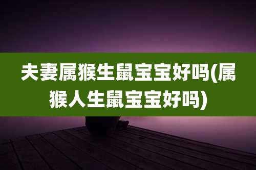 夫妻属猴生鼠宝宝好吗(属猴人生鼠宝宝好吗)