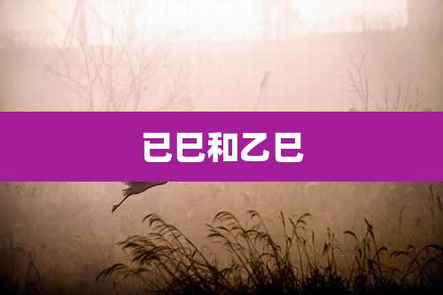 已巳和乙巳