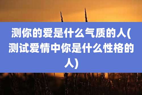 测你的爱是什么气质的人(测试爱情中你是什么性格的人)