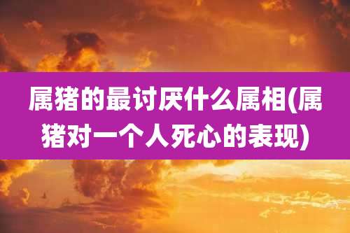 属猪的最讨厌什么属相(属猪对一个人死心的表现)
